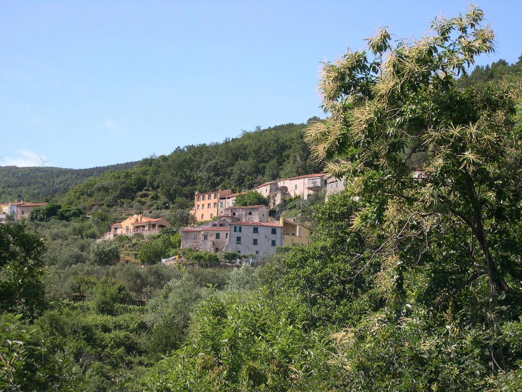 B&B Nelly G Carbuta Exterior foto